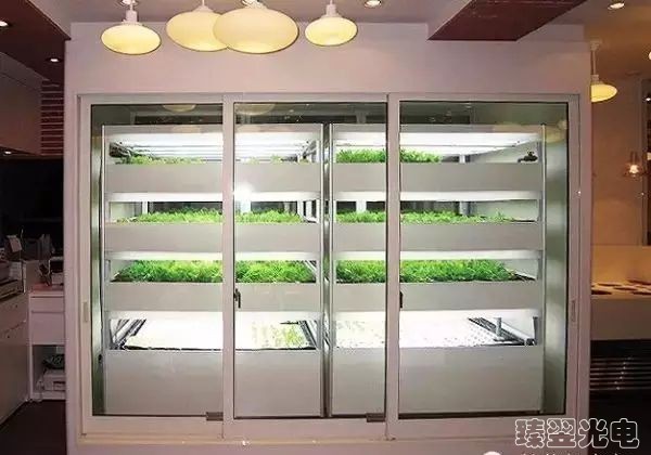 光纖照明，光導(dǎo)照明，植物栽培