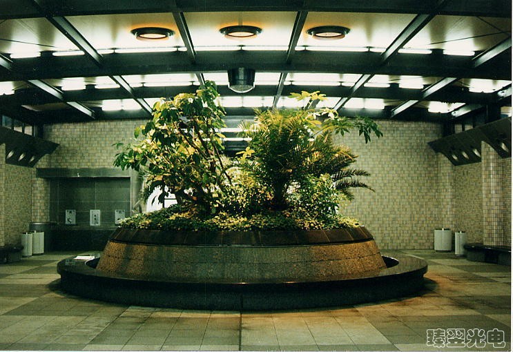 光導(dǎo)照明，光纖照明，室內(nèi)植物照射